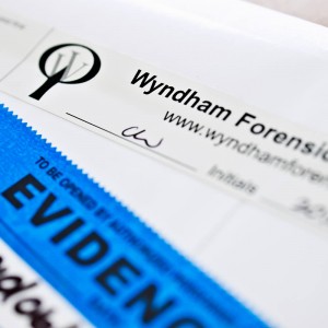 wyndham forensic evidence file folder